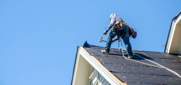 Best New Roof Installation  in Kula, HI